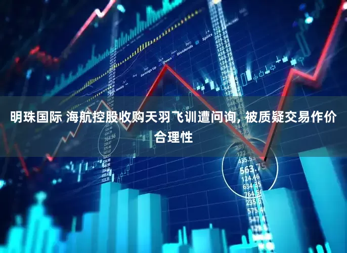 明珠国际 海航控股收购天羽飞训遭问询, 被质疑交易作价合理性